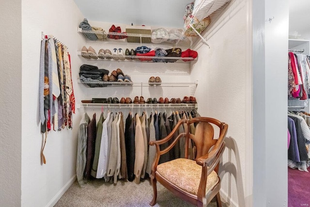 spacious closet featuring carpet floors