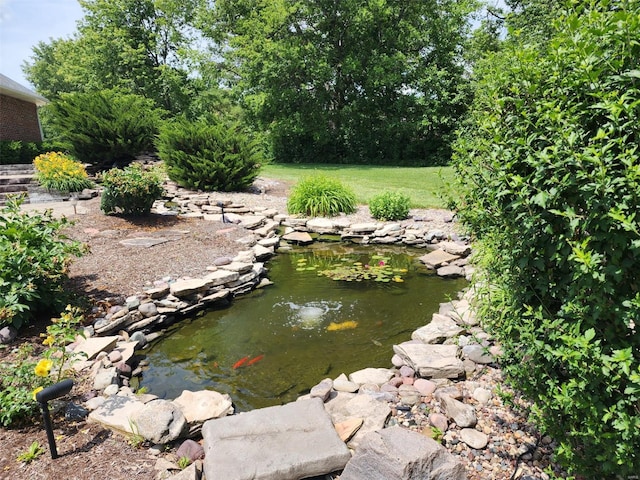 view of yard featuring a small pond