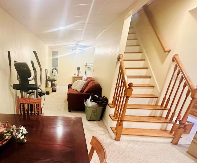 staircase featuring ceiling fan and carpet