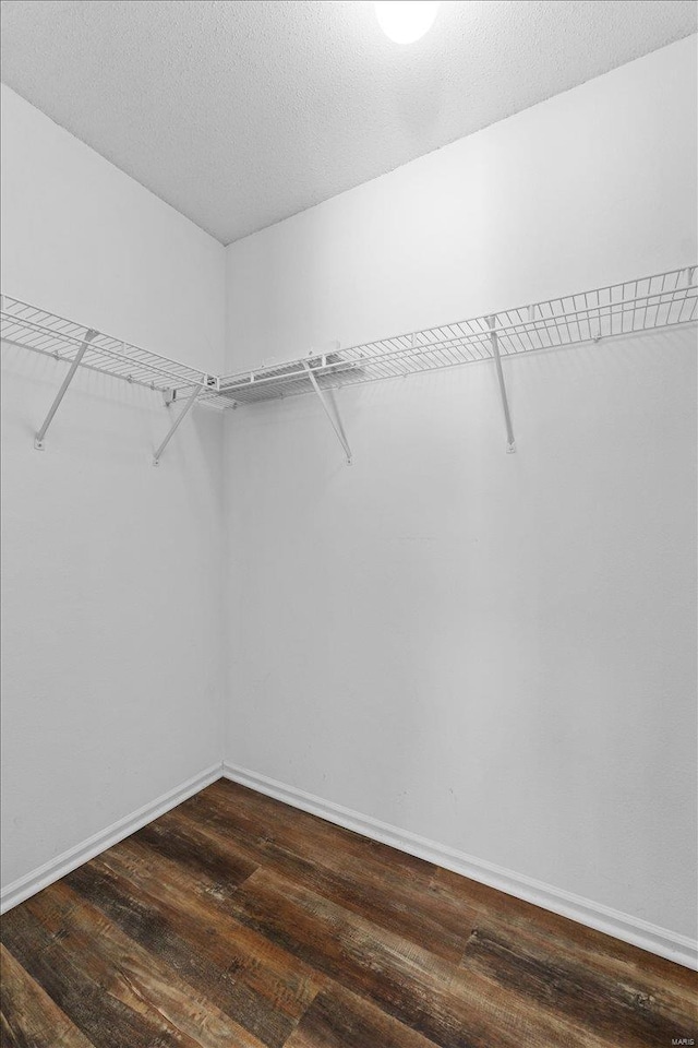 spacious closet with dark hardwood / wood-style flooring