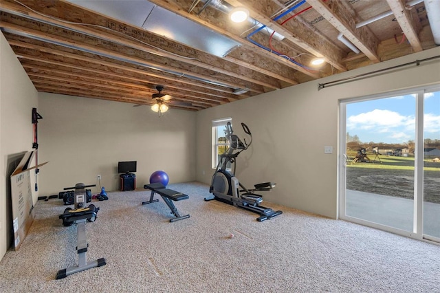 workout room with ceiling fan, a healthy amount of sunlight, and carpet