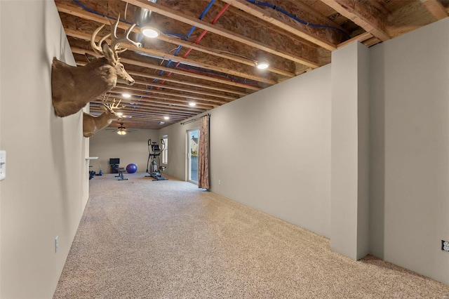 basement with carpet