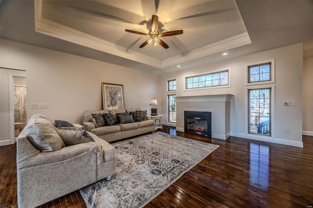 living room featuring a raised ceiling, ornamental molding, and dark wood-type flooring