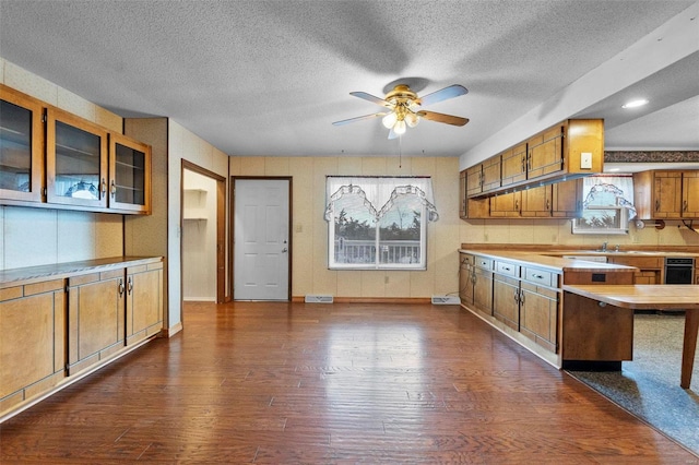 kitchen featuring dark hardwood / wood-style flooring, a textured ceiling, and ceiling fan