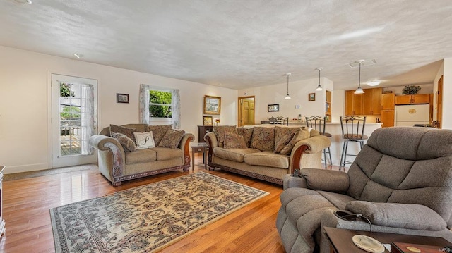 living room featuring light hardwood / wood-style floors