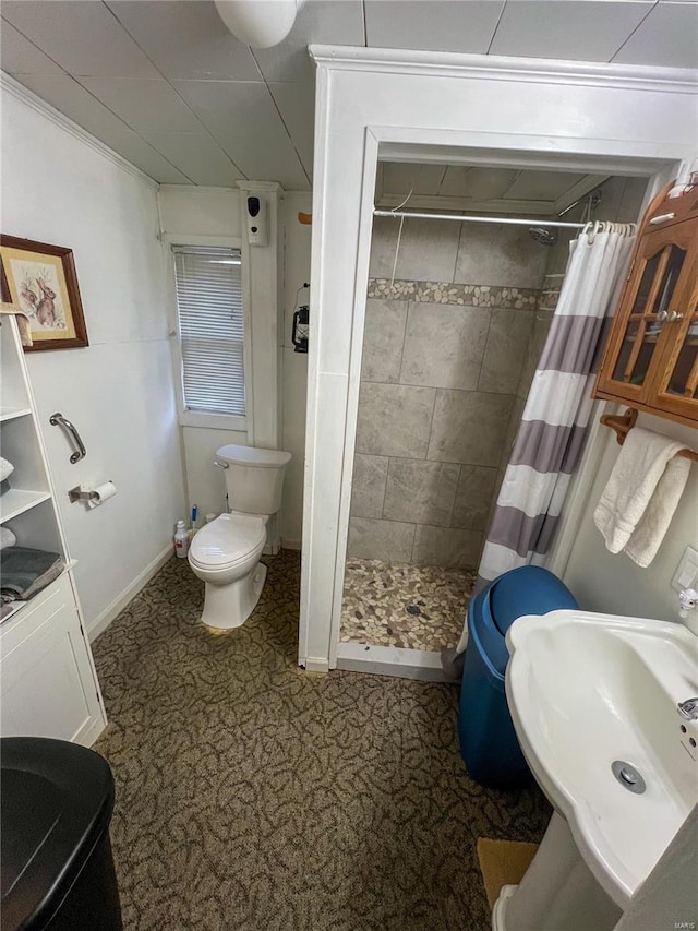 bathroom with toilet, sink, and a shower with shower curtain