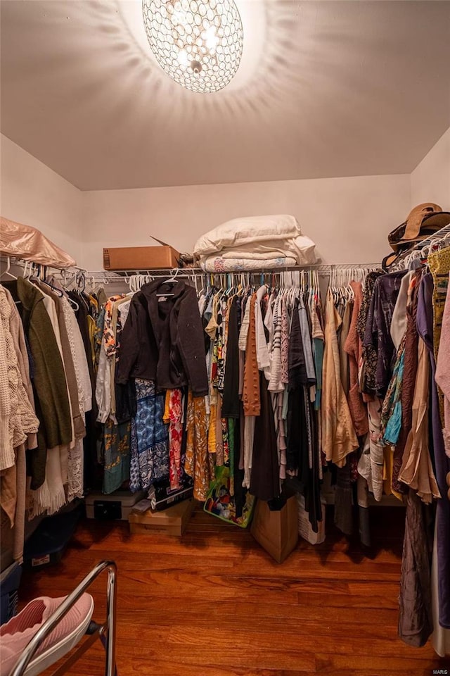 spacious closet with wood-type flooring