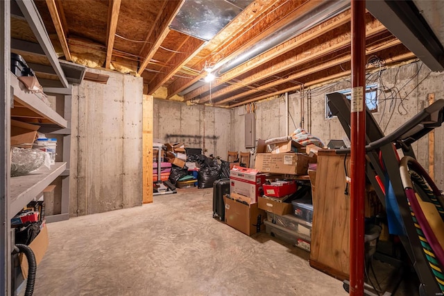 basement featuring electric panel