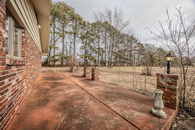 view of yard with a patio area