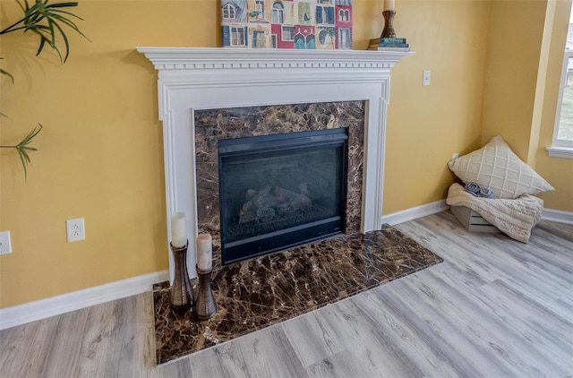 interior details featuring hardwood / wood-style floors and a high end fireplace