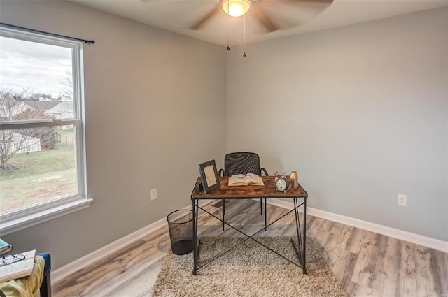 office space with ceiling fan and light hardwood / wood-style flooring