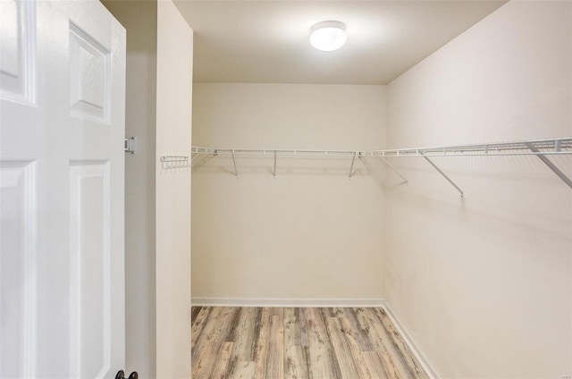 spacious closet with wood-type flooring