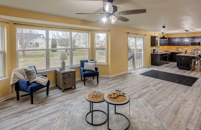 living room featuring sink, ceiling fan, and light hardwood / wood-style flooring