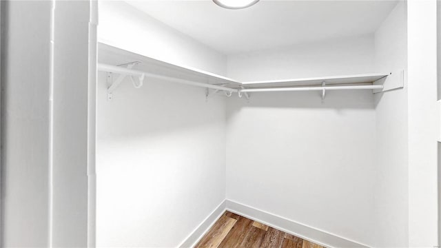 spacious closet featuring wood-type flooring