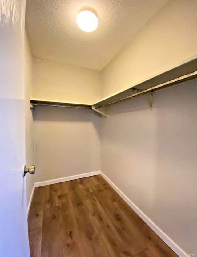 spacious closet featuring dark hardwood / wood-style flooring