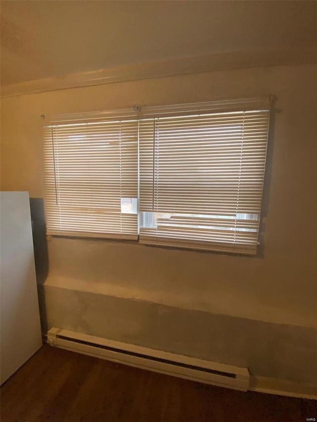 room details featuring hardwood / wood-style flooring and a baseboard radiator