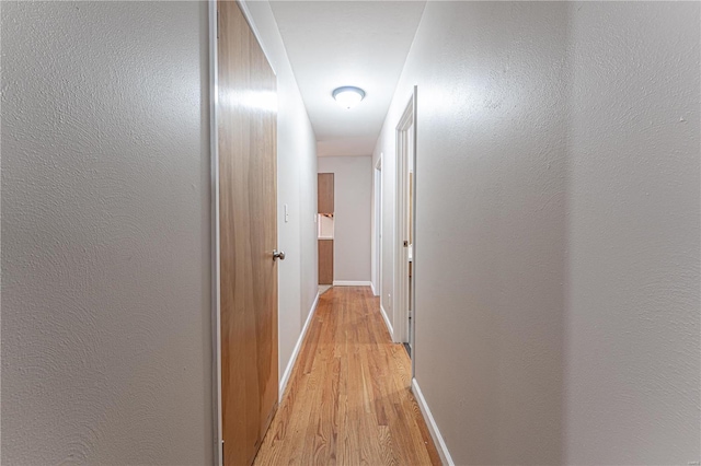 hallway featuring light hardwood / wood-style flooring