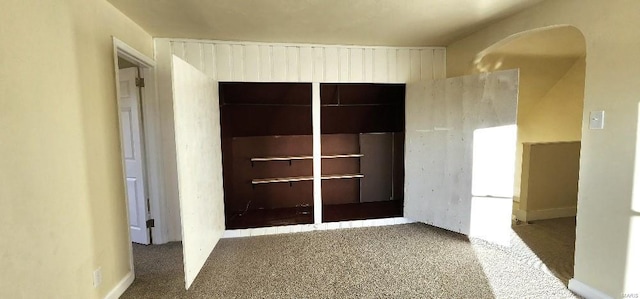 interior space featuring carpet floors and a closet