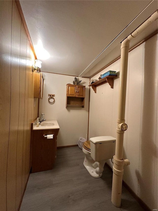 bathroom featuring toilet, wood finished floors, and vanity