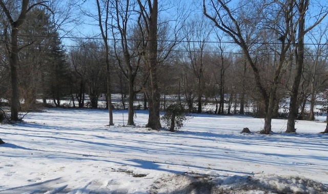 view of yard covered in snow