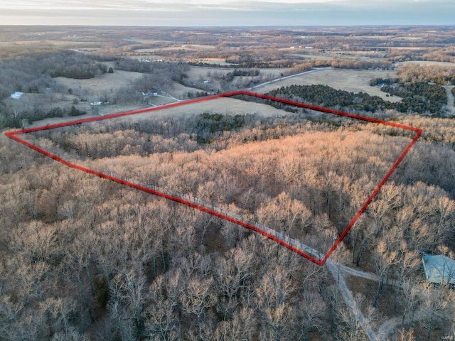 drone / aerial view with a view of trees