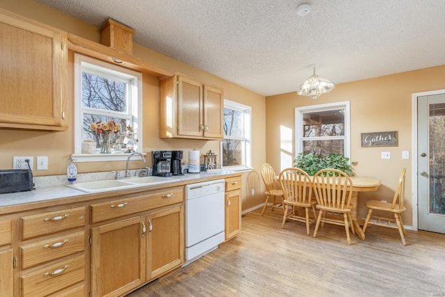 kitchen featuring light countertops, light wood-style floors, white dishwasher, a textured ceiling, and a sink