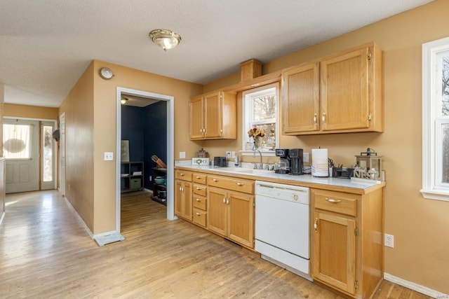 kitchen with a sink, light wood finished floors, light countertops, and dishwasher