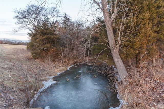 view of local wilderness