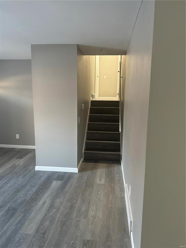 stairway featuring wood-type flooring