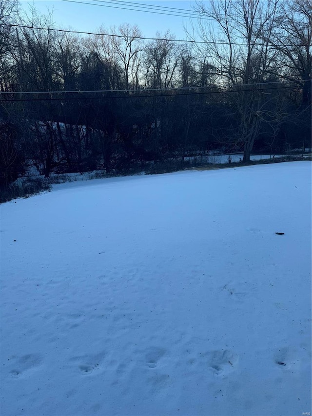 view of yard covered in snow