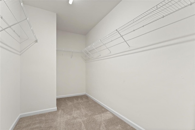 walk in closet with light carpet