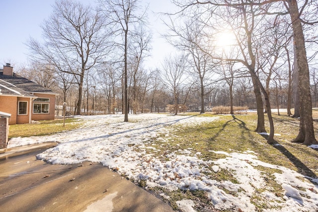 view of yard covered in snow