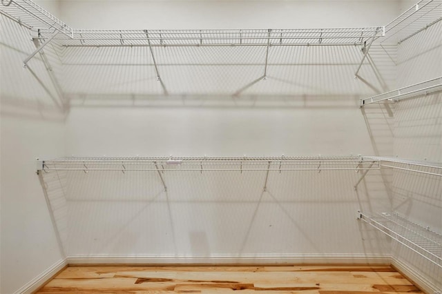 spacious closet featuring hardwood / wood-style floors