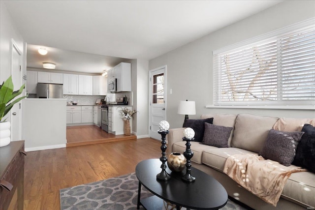 living room featuring hardwood / wood-style floors