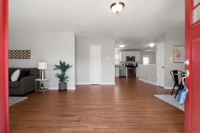 entrance foyer featuring wood-type flooring