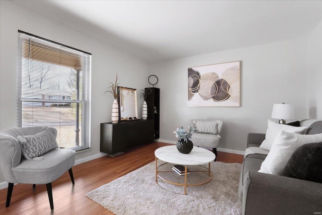 living room with hardwood / wood-style floors