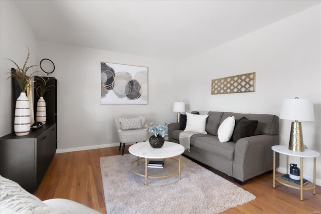 living room with hardwood / wood-style floors