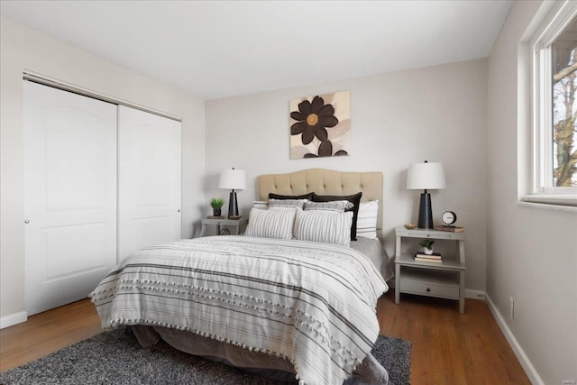 bedroom featuring a closet and dark hardwood / wood-style floors