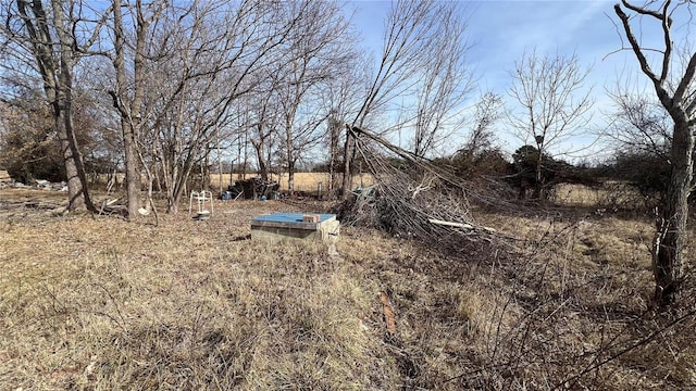 view of yard featuring a rural view