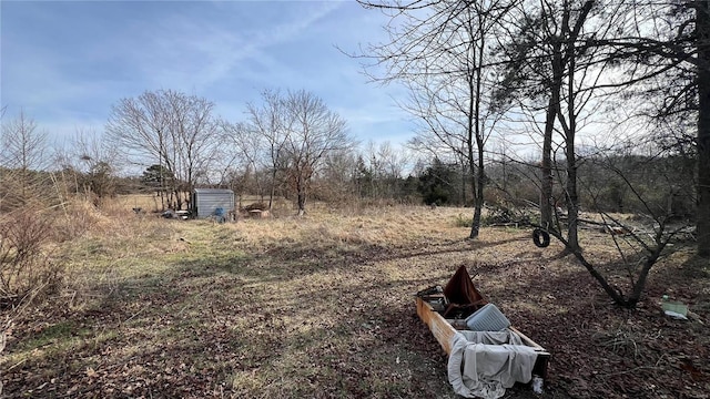 view of yard featuring a shed