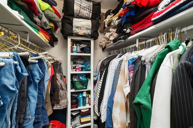 view of spacious closet