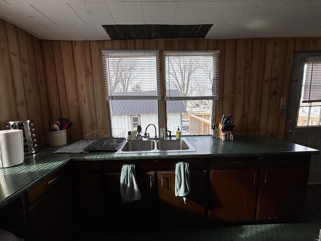 kitchen featuring wooden walls and sink