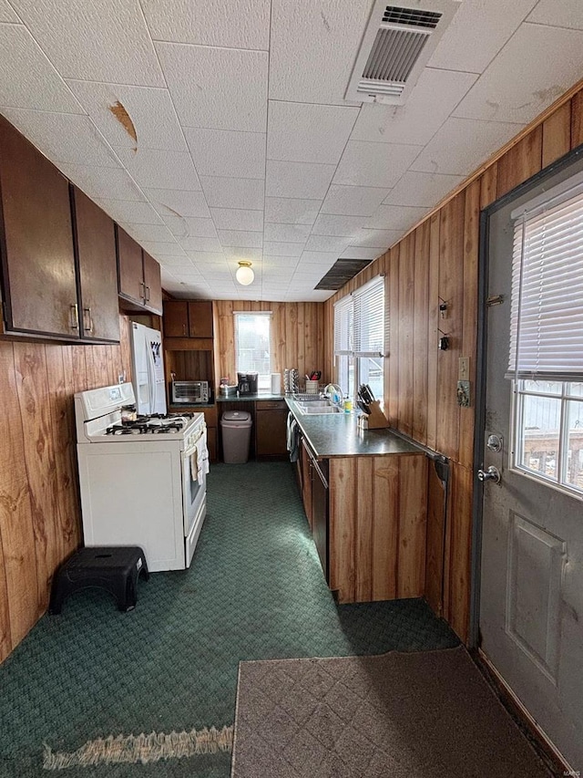 kitchen featuring sink, wooden walls, gas range gas stove, and dark colored carpet