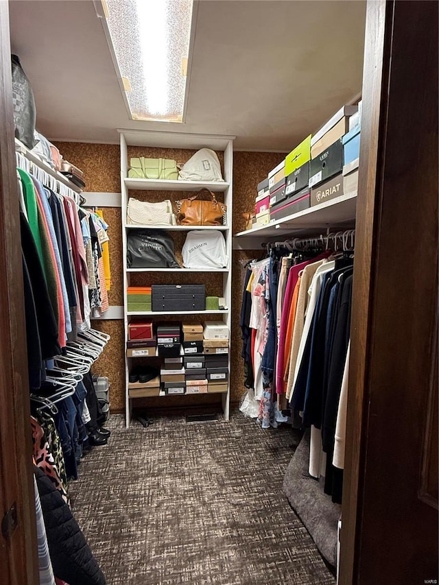 view of walk in closet