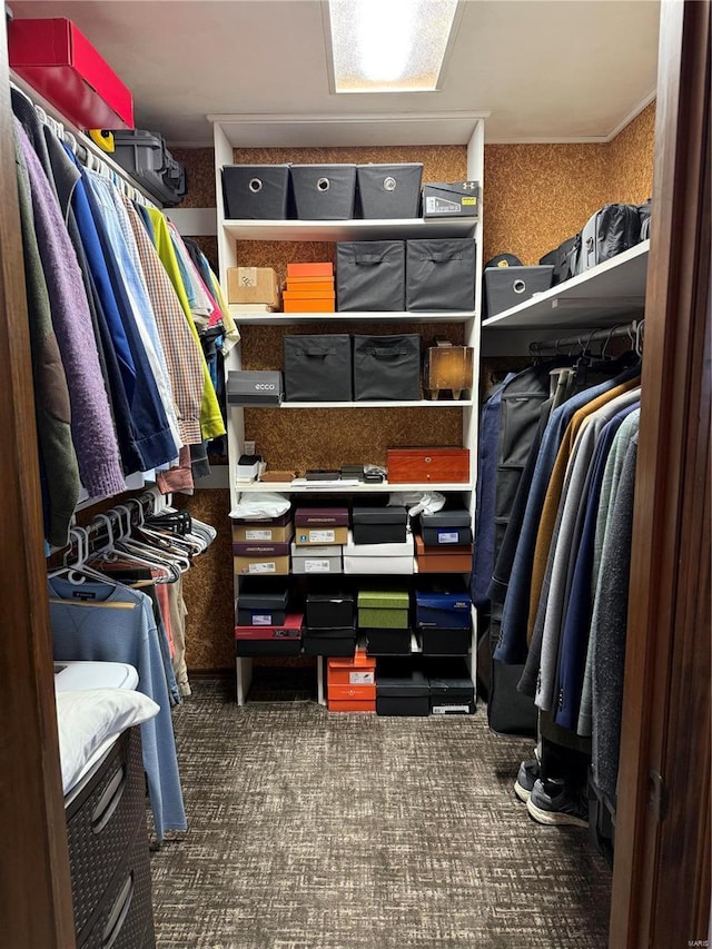 view of walk in closet