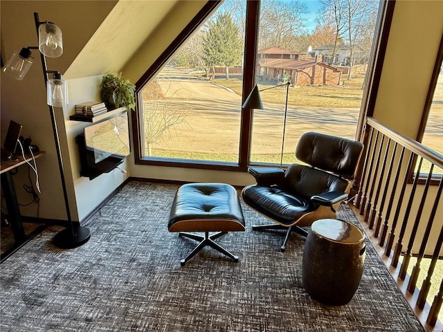 interior space with carpet floors