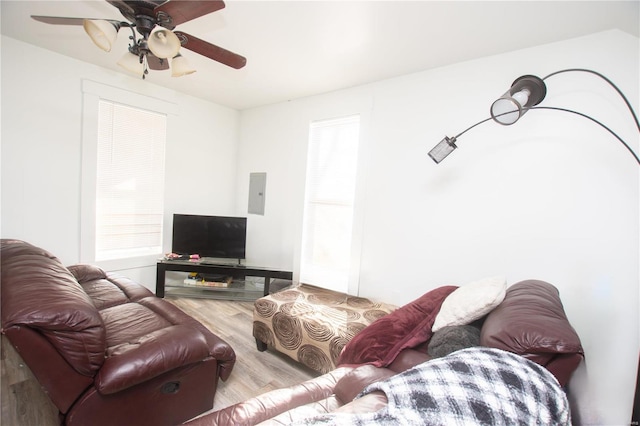 living room with electric panel, ceiling fan, and light wood-type flooring