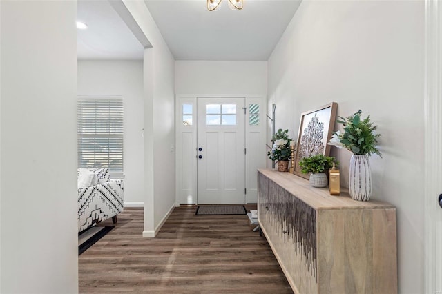 entrance foyer with dark hardwood / wood-style flooring