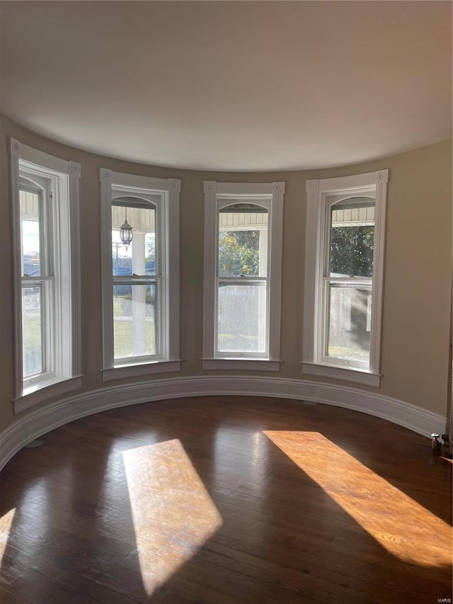 spare room featuring plenty of natural light and dark hardwood / wood-style flooring