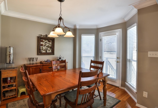 dining room with crown molding and hardwood / wood-style floors